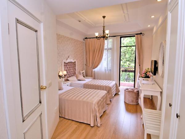 Aspen Hotel Kaleiçi : photo 2 de la chambre chambre double ou lits jumeaux deluxe avec balcon