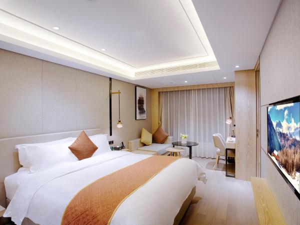 Shenzhen FY Hotel : photo 2 de la chambre senior apartment king room