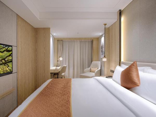 Shenzhen FY Hotel : photo 2 de la chambre commercial apartment suite