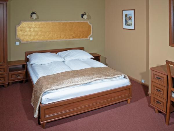 Pensjonat Winnica : photo 2 de la chambre chambre double - vue sur fleuve