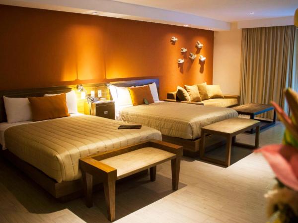 Hotel Puerta Del Sol Guadalajara : photo 1 de la chambre grande chambre double 