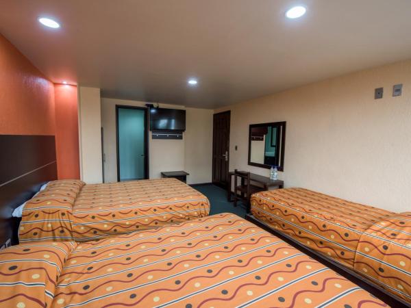 Oaxaca Inn Reforma : photo 4 de la chambre chambre familiale