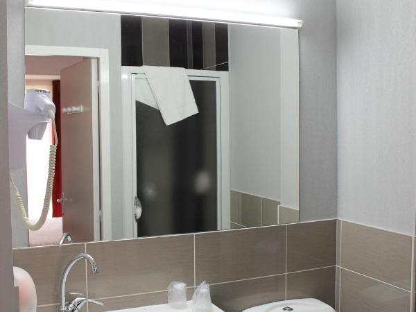 The Originals City, Hôtel Albizia, Sarlat-la-Canéda : photo 3 de la chambre chambre lits jumeaux