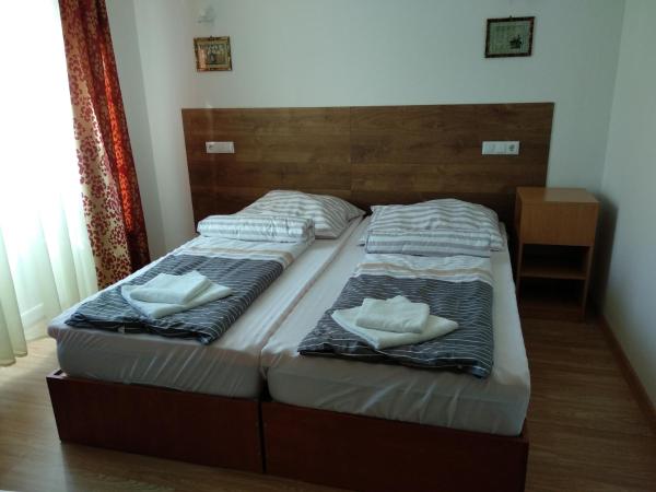 Acopark Vendégház : photo 3 de la chambre chambre lits jumeaux standard