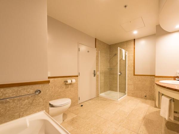 Distinction Christchurch Hotel : photo 6 de la chambre suite 1 chambre classique