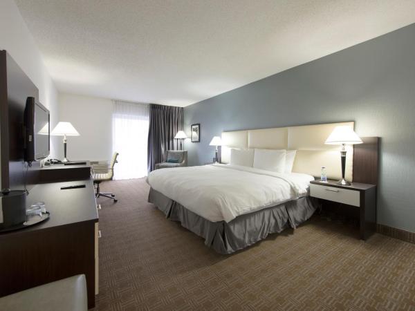 Toronto Don Valley Hotel and Suites : photo 8 de la chambre chambre lit king-size deluxe avec balcon