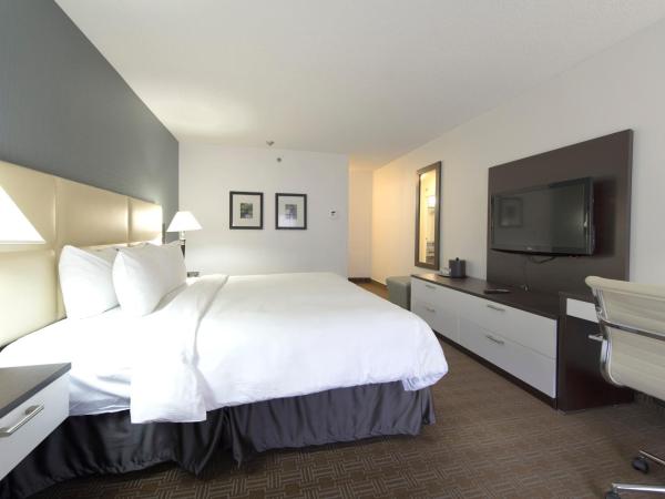Toronto Don Valley Hotel and Suites : photo 7 de la chambre chambre lit king-size deluxe avec balcon