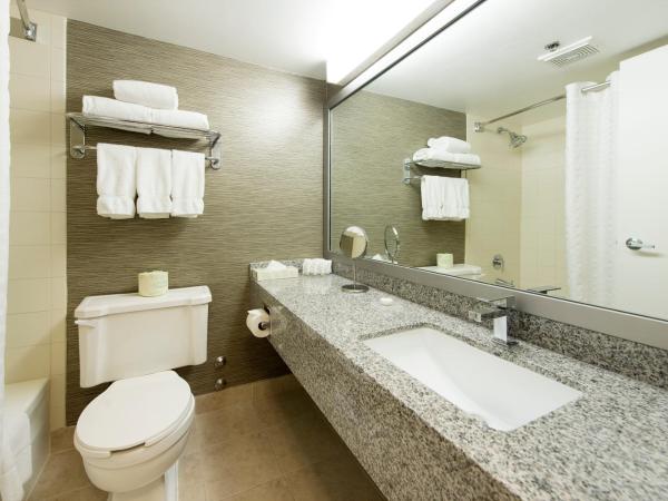 Toronto Don Valley Hotel and Suites : photo 1 de la chambre chambre lit king-size deluxe avec balcon