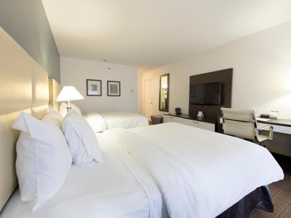 Toronto Don Valley Hotel and Suites : photo 2 de la chambre chambre double deluxe