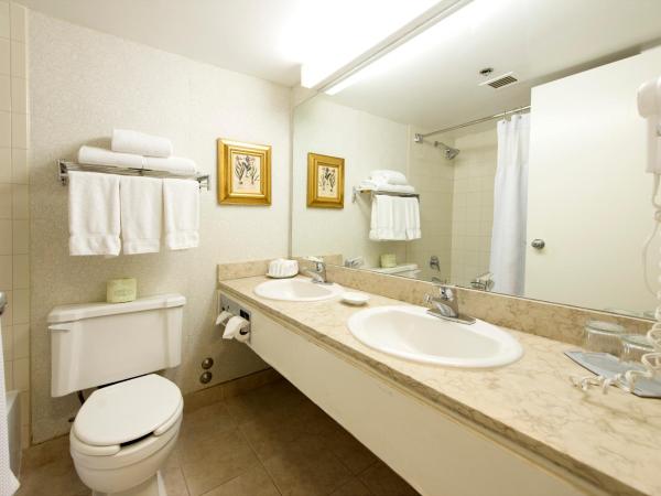 Toronto Don Valley Hotel and Suites : photo 2 de la chambre chambre lit king-size