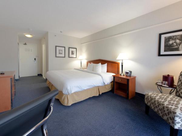 Toronto Don Valley Hotel and Suites : photo 4 de la chambre chambre lit king-size