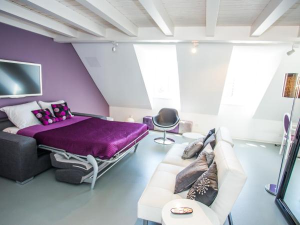Guest House Le Charlot : photo 4 de la chambre appartement en duplex