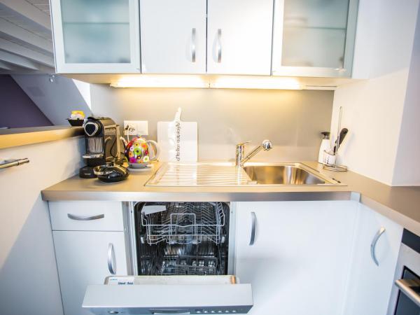 Guest House Le Charlot : photo 7 de la chambre appartement en duplex