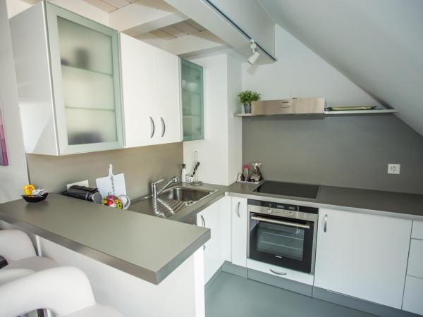 Guest House Le Charlot : photo 9 de la chambre appartement en duplex