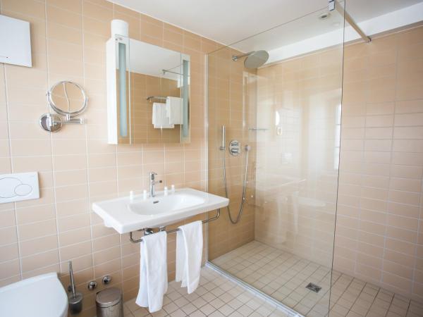 Guest House Le Charlot : photo 5 de la chambre chambre double standard - vue sur lac