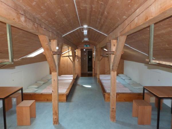 Brienz Youth Hostel : photo 2 de la chambre lit simple en dortoir