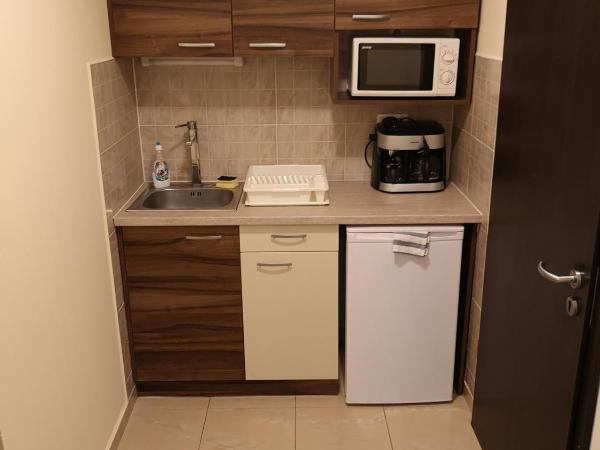 Borostyán Panzió Balatonfüred : photo 3 de la chambre appartement - vue sur jardin