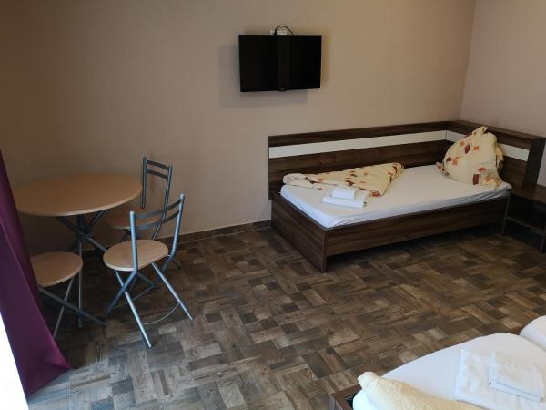 Borostyán Panzió Balatonfüred : photo 2 de la chambre appartement - vue sur jardin