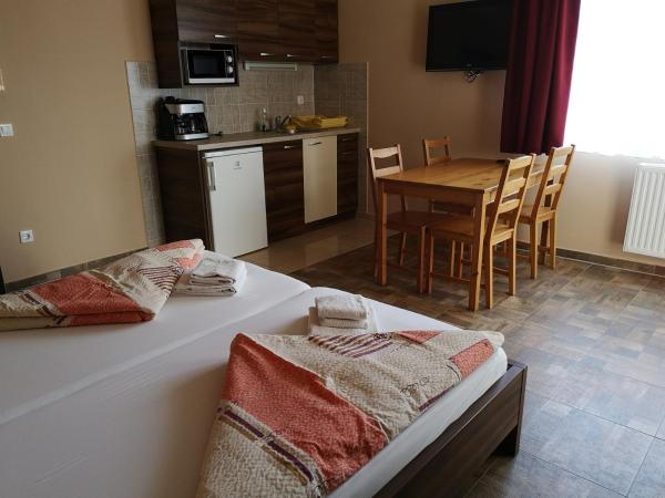 Borostyán Panzió Balatonfüred : photo 3 de la chambre appartement - vue sur jardin