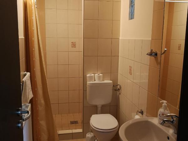 Borostyán Panzió Balatonfüred : photo 5 de la chambre appartement - vue sur piscine 