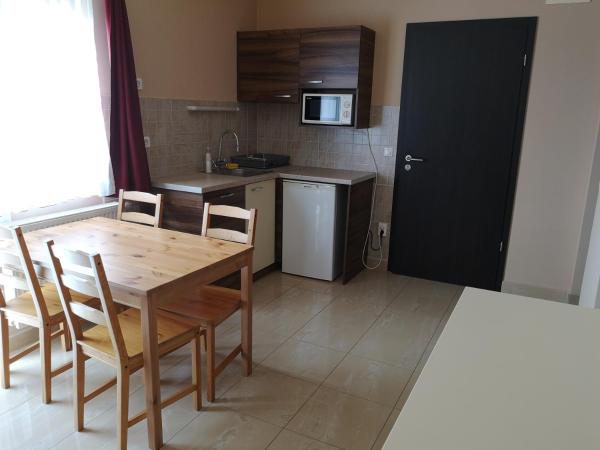 Borostyán Panzió Balatonfüred : photo 3 de la chambre appartement - vue sur piscine 