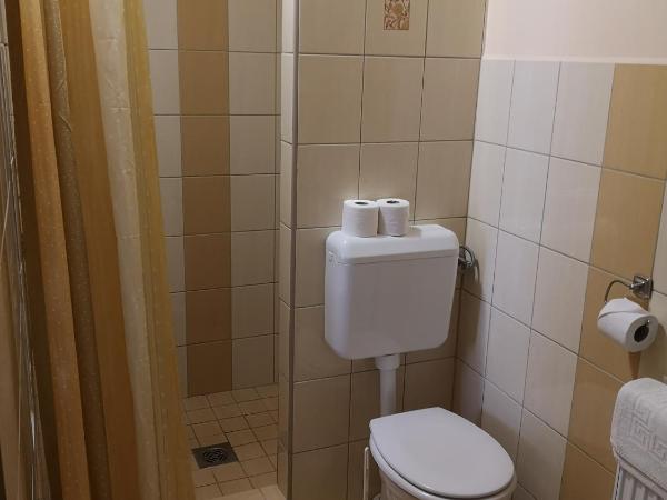 Borostyán Panzió Balatonfüred : photo 4 de la chambre appartement avec terrasse