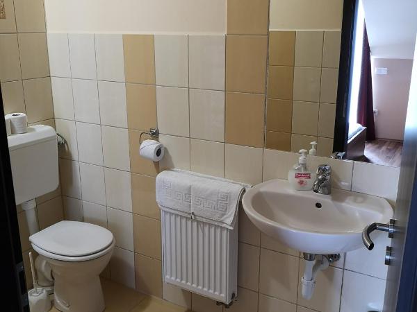 Borostyán Panzió Balatonfüred : photo 5 de la chambre appartement avec terrasse