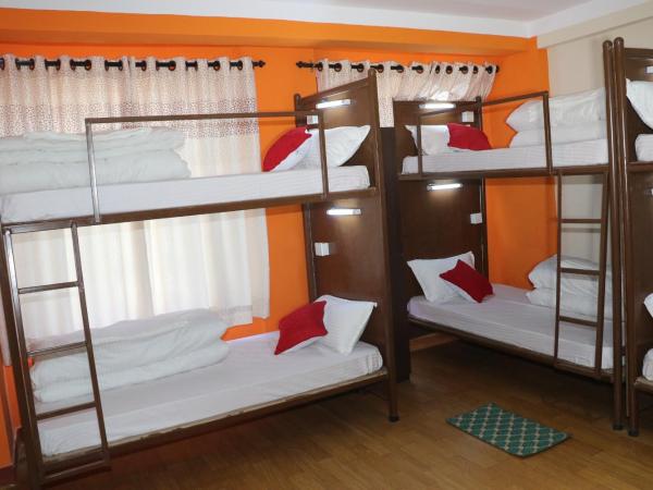 Rambler Hostel Pvt Ltd : photo 4 de la chambre lit dans dortoir pour femmes de 6 lits