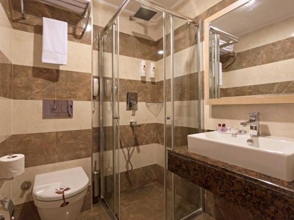 Xperia Saray Beach Hotel : photo 2 de la chambre chambre double ou lits jumeaux standard