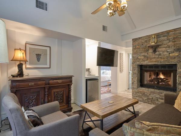 Houston Towers, Downtown Med Ctr, NRG, Adults only : photo 9 de la chambre texas tower suite