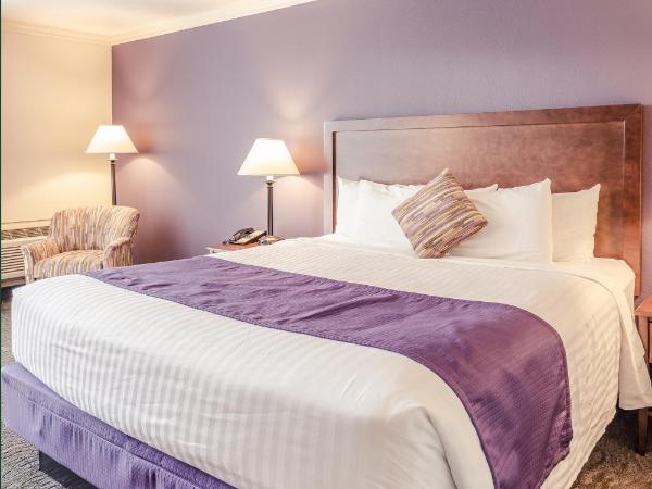 University Place Hotel and Conference Center : photo 1 de la chambre chambre king confort