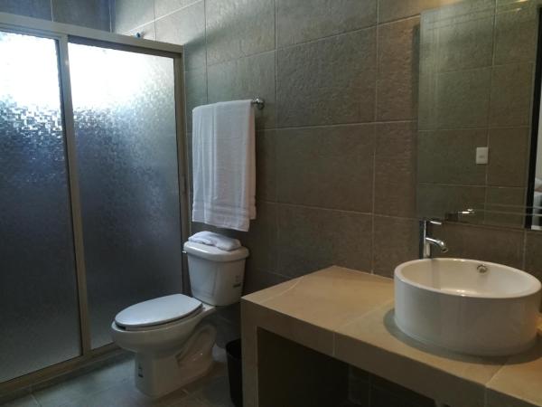 Hotel Virreyes : photo 4 de la chambre chambre double avec 2 lits doubles