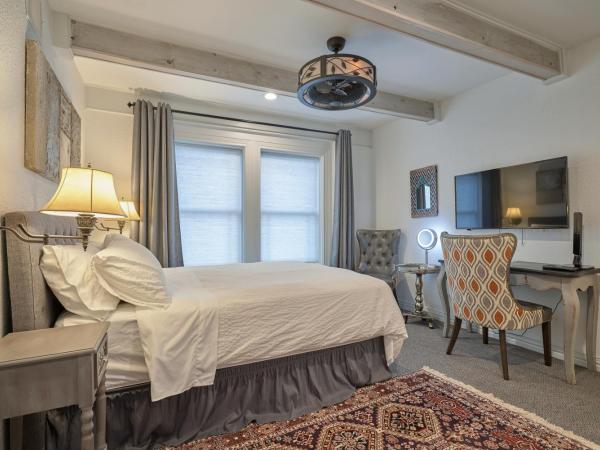 Houston Towers, Downtown Med Ctr, NRG, Adults only : photo 1 de la chambre voyager room