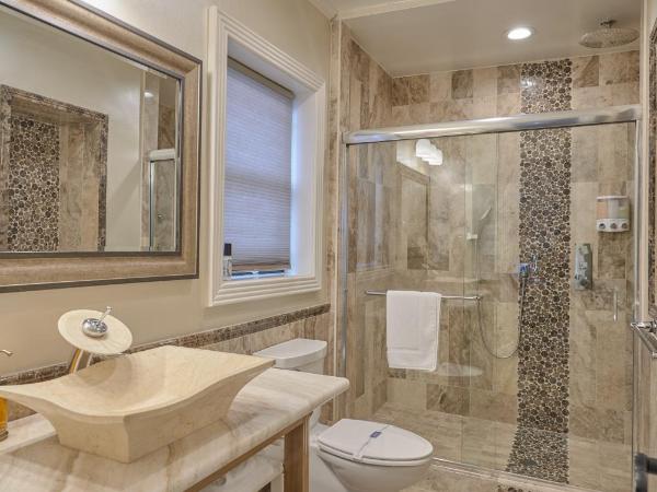 Houston Towers, Downtown Med Ctr, NRG, Adults only : photo 5 de la chambre voyager room