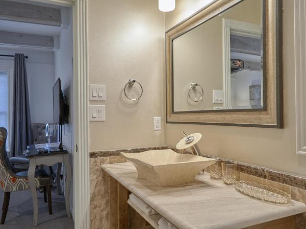 Houston Towers, Downtown Med Ctr, NRG, Adults only : photo 4 de la chambre voyager room