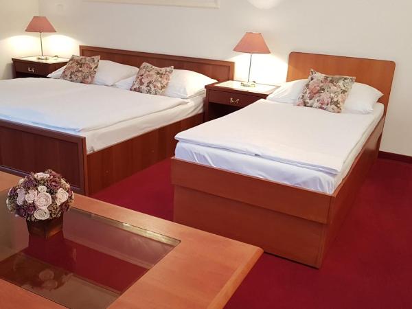 Eurohotel : photo 8 de la chambre studio supérieur