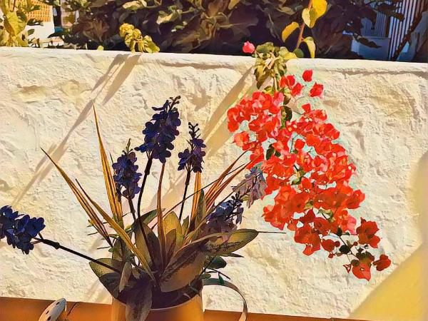 Lucero 12 : photo 5 de la chambre chambre double deluxe