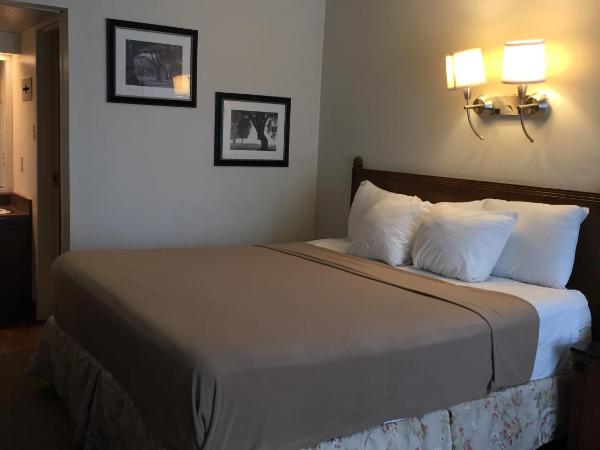 Cheshire Motor Inn : photo 2 de la chambre chambre lit king-size