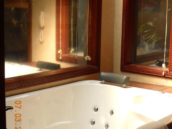 Vedic Village Spa Resort Kolkata : photo 2 de la chambre suite présidentielle