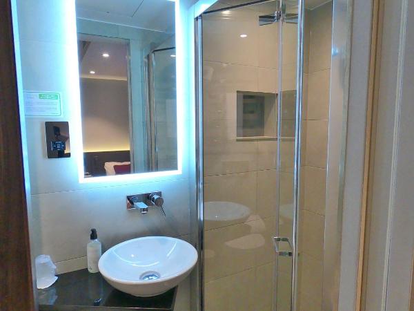 Best Western Plus Delmere Hotel : photo 10 de la chambre chambre simple confortable