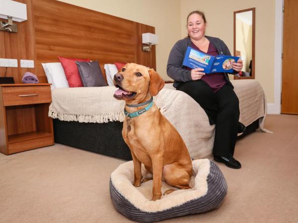 Marsham Court Hotel : photo 1 de la chambre chambre double ou lits jumeaux - chiens acceptés