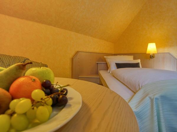 Hotel Kischers Landhaus : photo 1 de la chambre chambre simple confort - accessible aux personnes à mobilité réduite