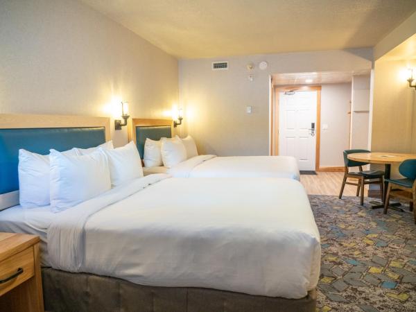 Tunnel Mountain Resort : photo 4 de la chambre suite standard