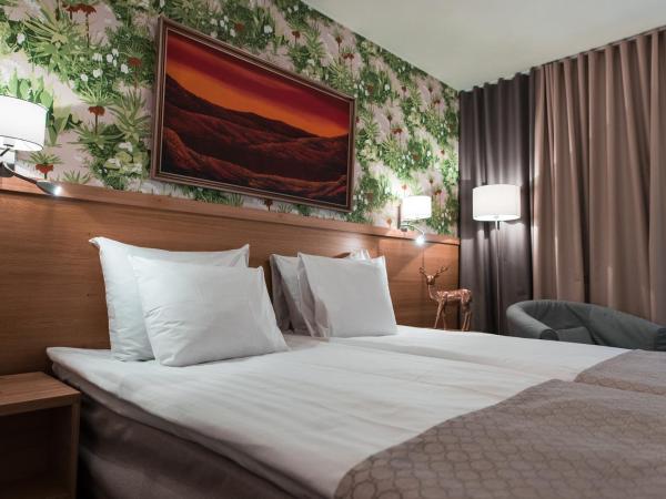 Hotel Aakenus : photo 4 de la chambre chambre lits jumeaux