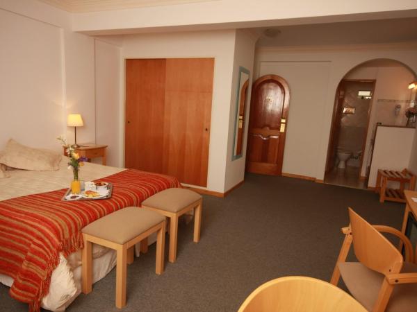 Hotel Ayres Del Nahuel : photo 2 de la chambre chambre double classique