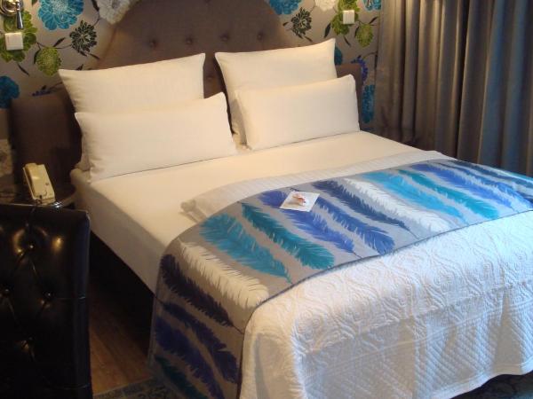 Hotel Sir & Lady Astor : photo 9 de la chambre chambre simple affaires