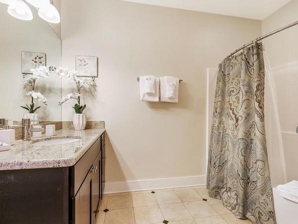 Stunning Apartments with Luxury Amenities : photo 7 de la chambre penthouse