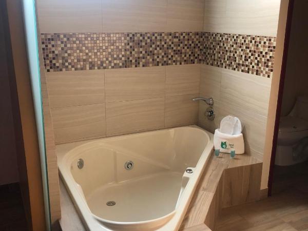 Hotel Jard Inn Adult Only : photo 4 de la chambre chambre deluxe