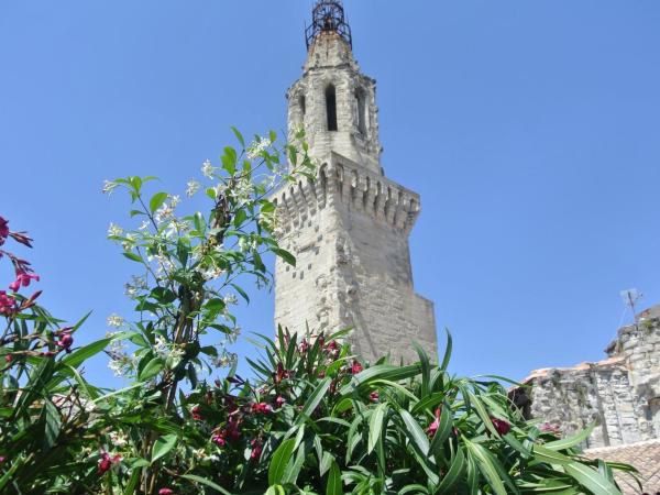 Aux Augustins Palais des Papes & Wellness : photo 6 de la chambre la luther