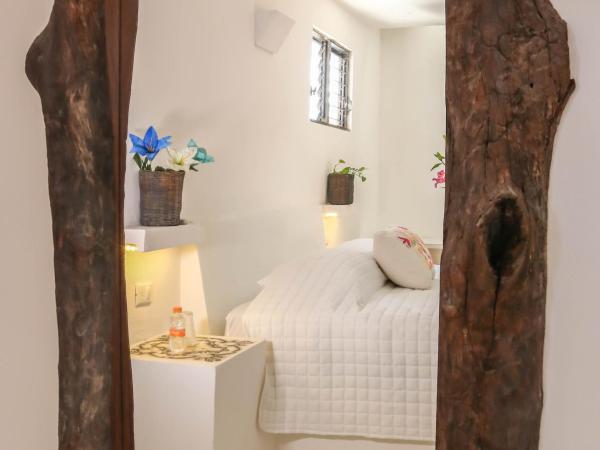 Kin Ha Tulum Hotel : photo 4 de la chambre suite - vue sur jardin